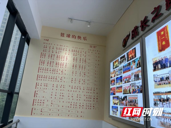 成年人是否可以通过篮球训练改善身高_2